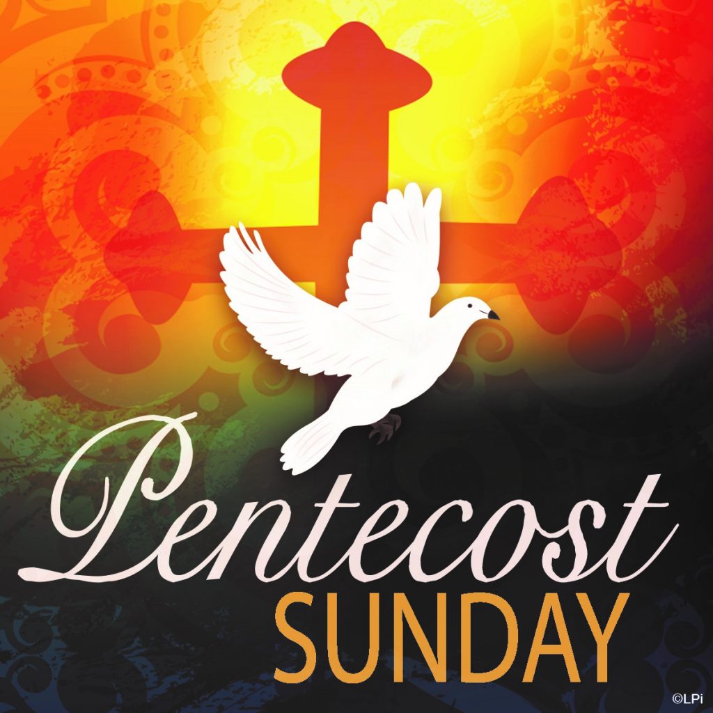 Thought For The Week 31 May 2020 — Timaru Presbyterian Parish