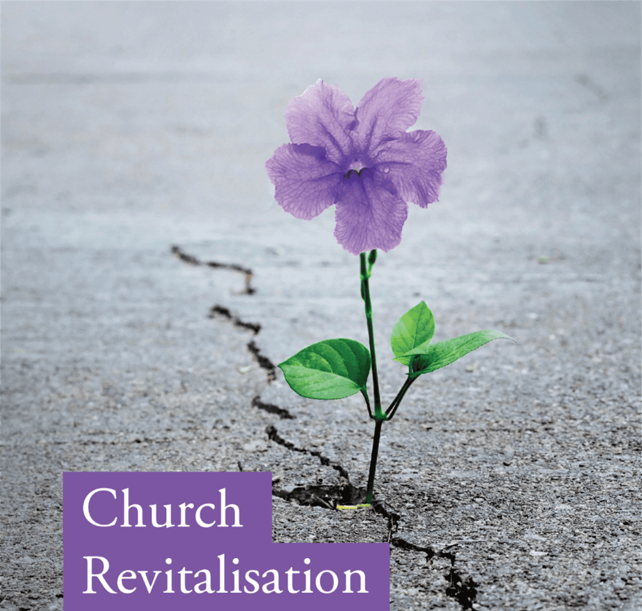 Church-rejunivate-cropped