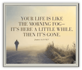 Fog Fog