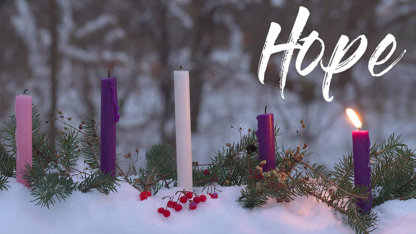 Advent Candles in the snow with evergreen branches red berries and a snowy forest in the background. Week one  The Prophecy Candles is lighted
