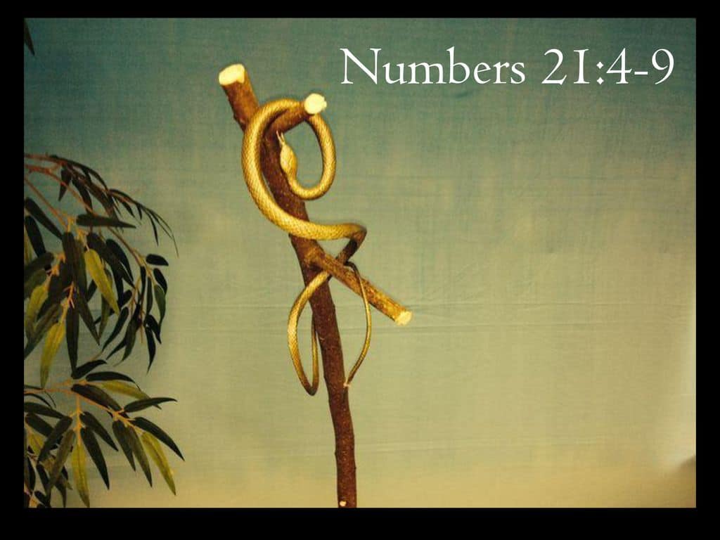 Numbers 21:4-9 Numbers 21:4-9