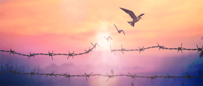 PEACE-SUN-Cropped
