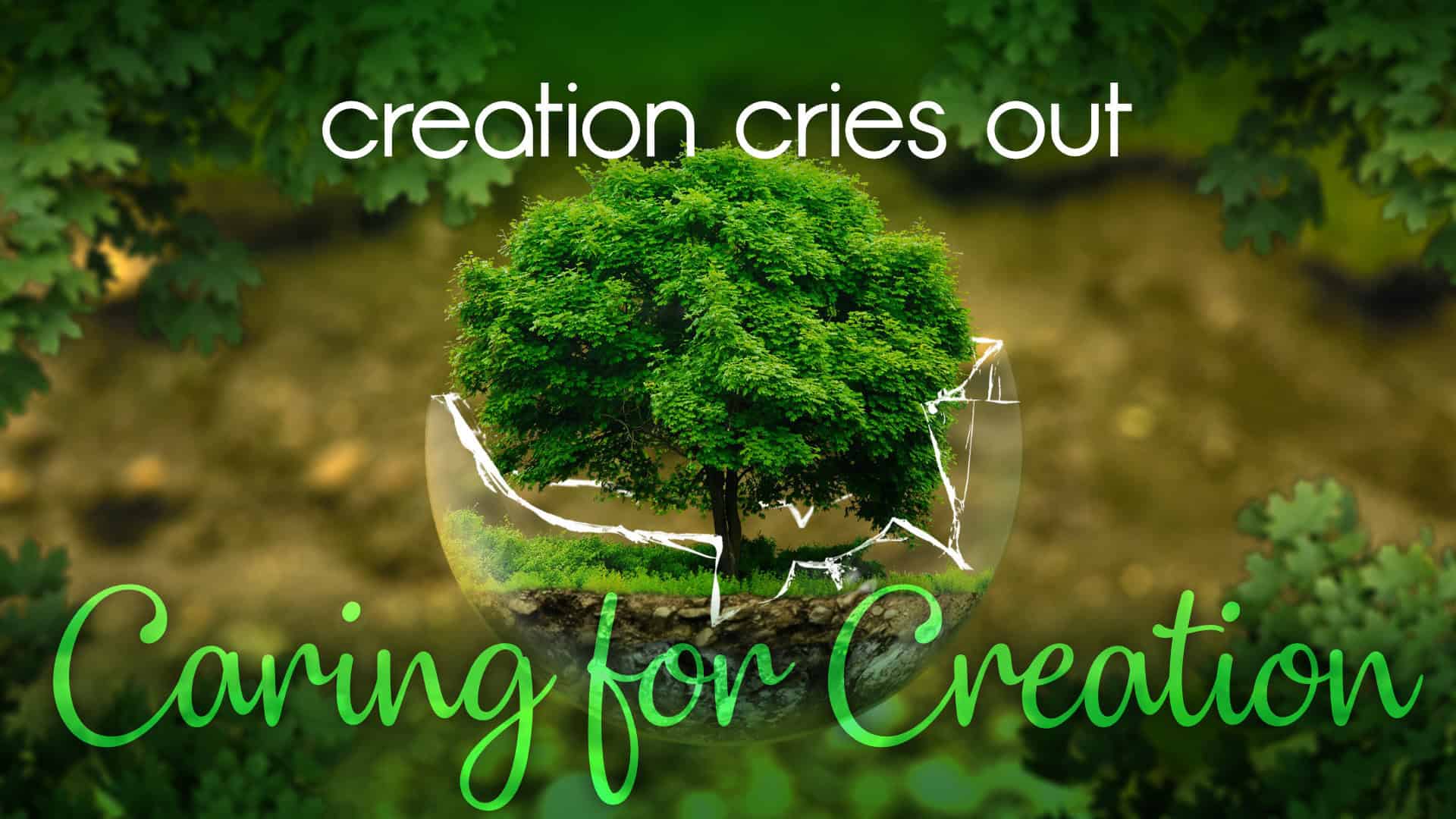 caring-for-creation-1-creation-cries-out