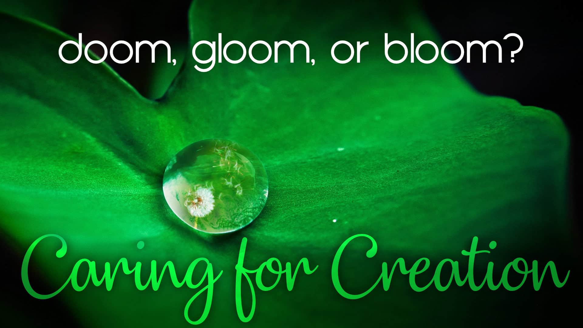caring-for-creation-4-doom-gloom-or-bloom