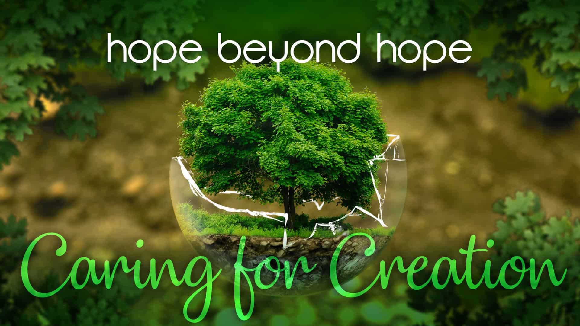 caring-for-creation-6-hope-beyond-hope