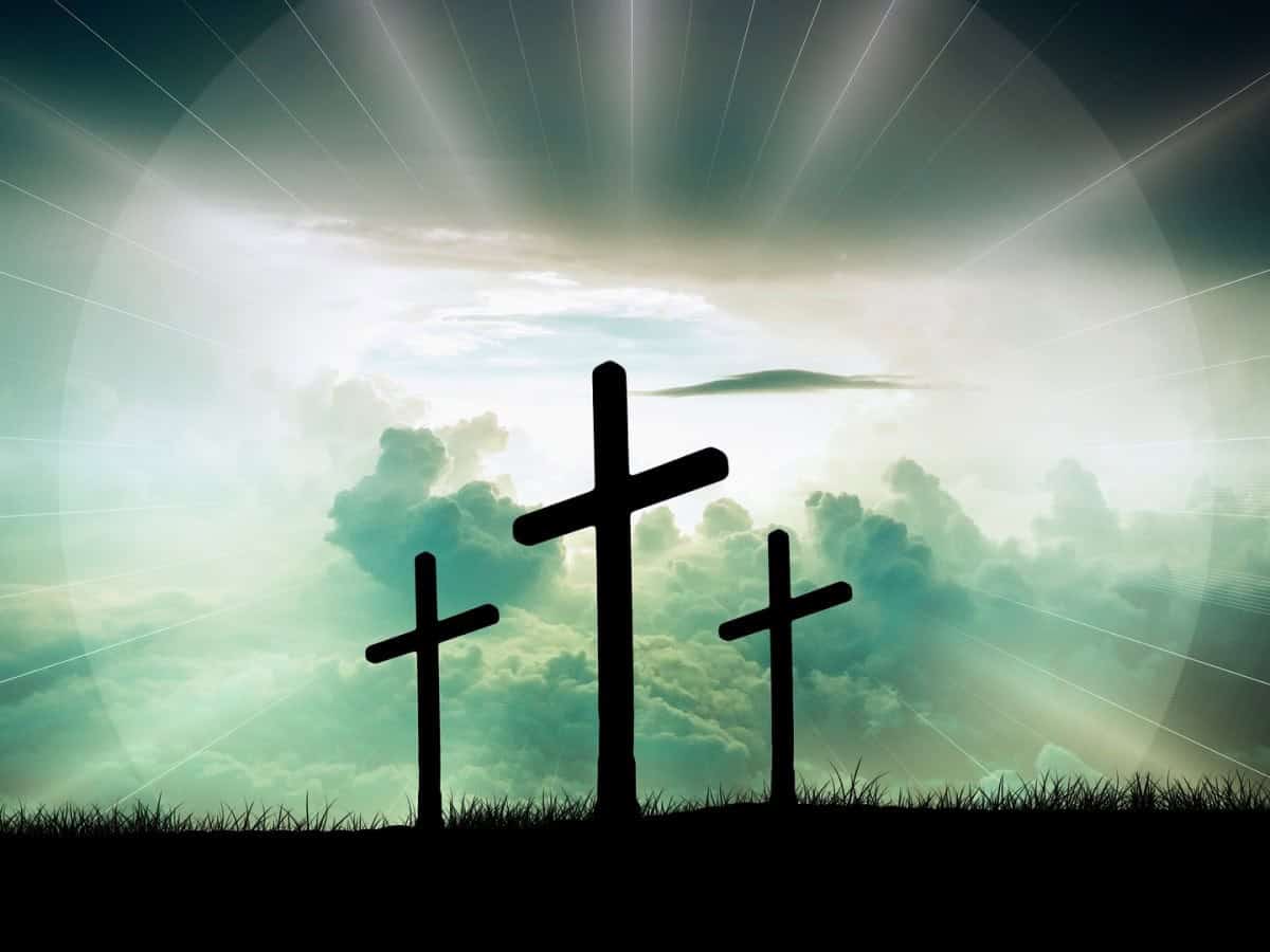 cross-x-3 cross-x-3