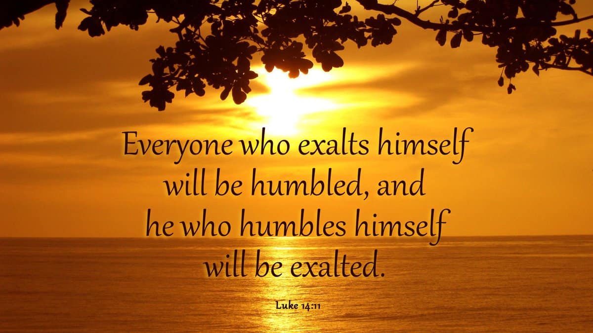 exalts exalts