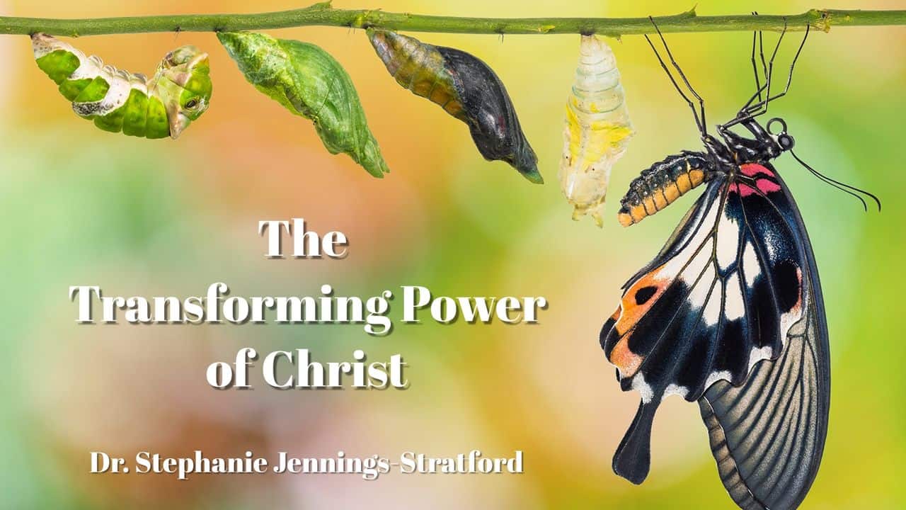 transforming transforming